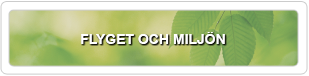 Flyget och miljön