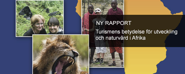 Ny Rapport